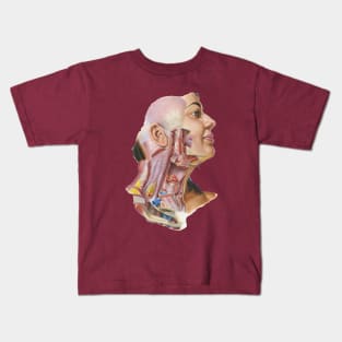 Frank Netter Atlas of Human Anatomy Cervical Fascia Kids T-Shirt